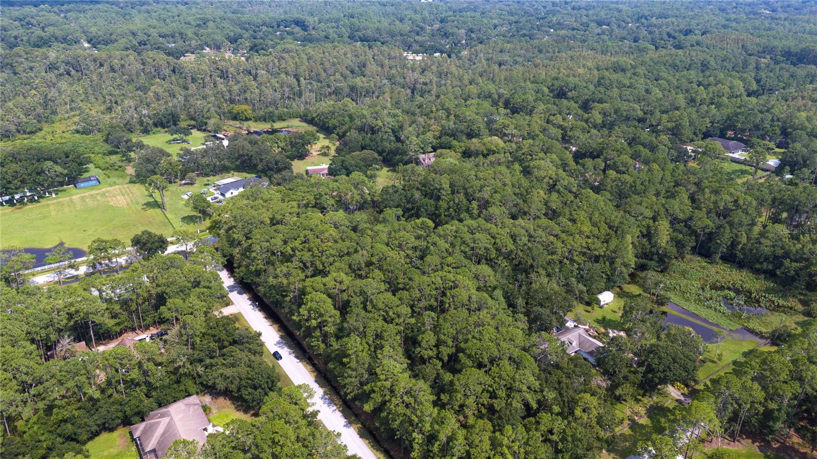 WEST DRIVE, WESLEY CHAPEL, FL — photo 7