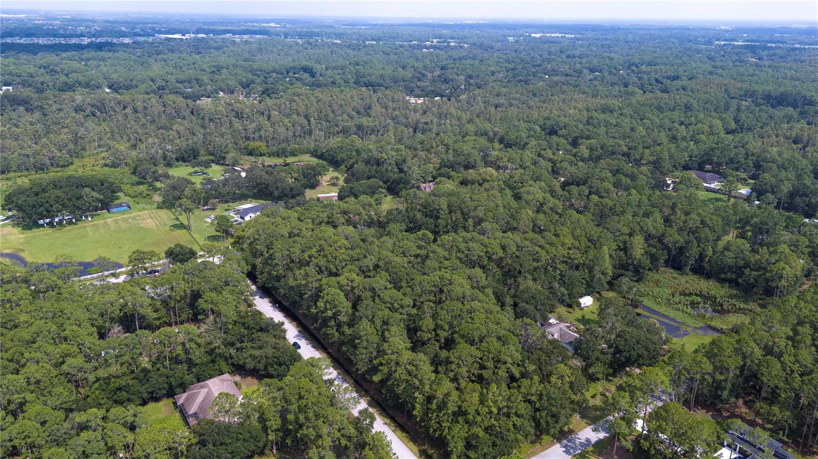 WEST DRIVE, WESLEY CHAPEL, FL — photo 9