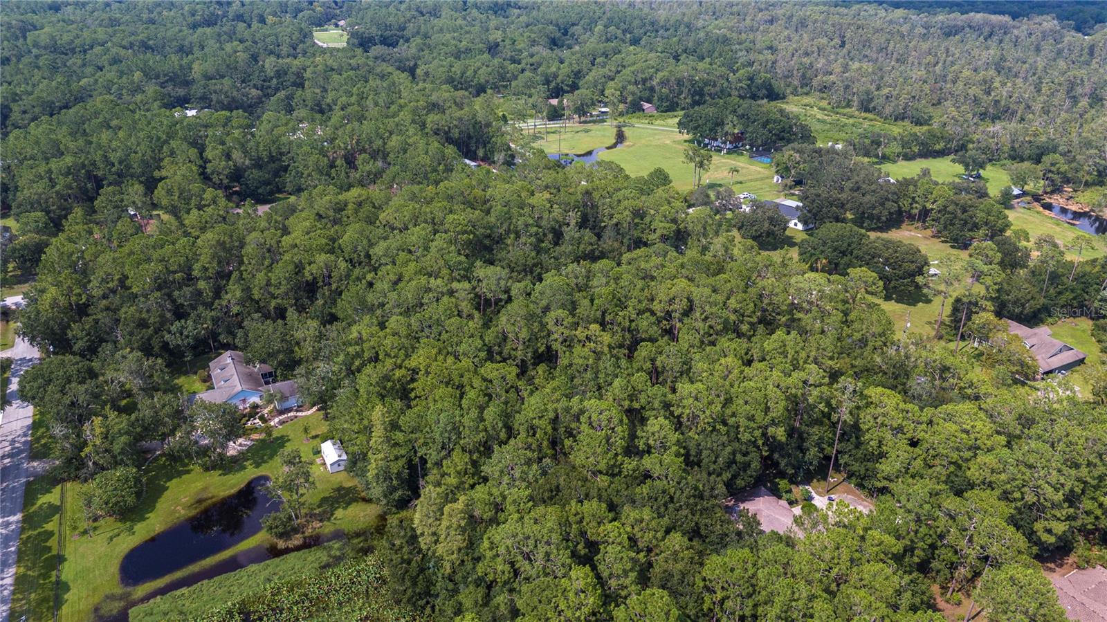 WEST DRIVE, WESLEY CHAPEL, FL — photo 12