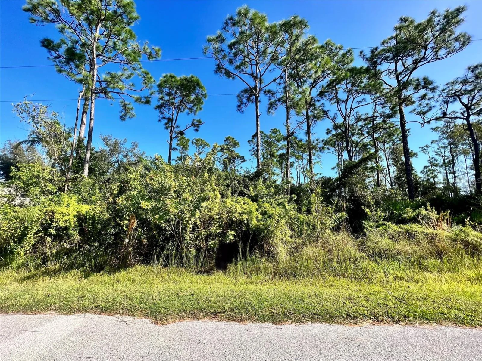 12338 CATALINA DR, PUNTA GORDA, FL — photo 2