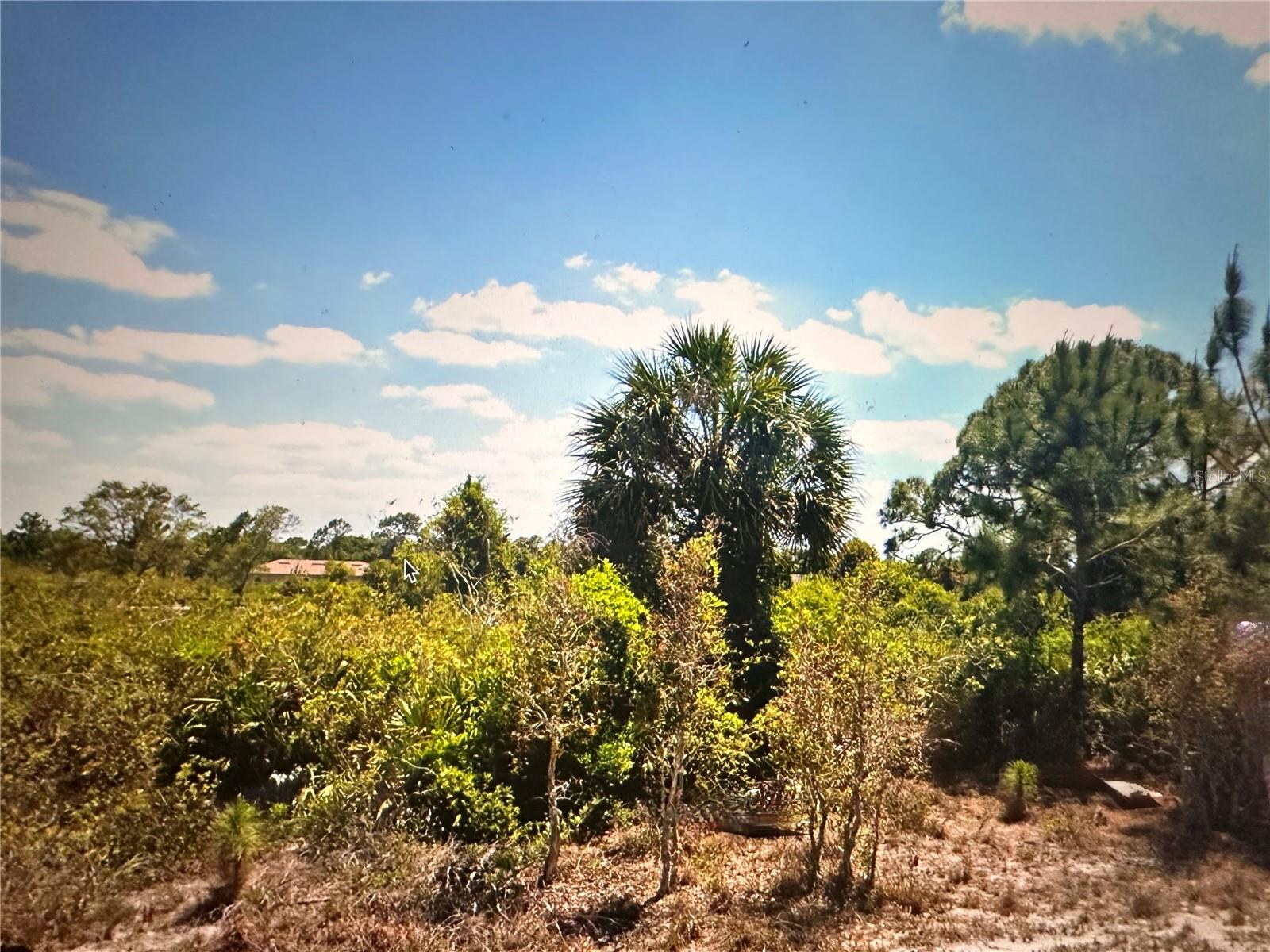 2817 56TH ST W, LEHIGH ACRES, FL — photo 8