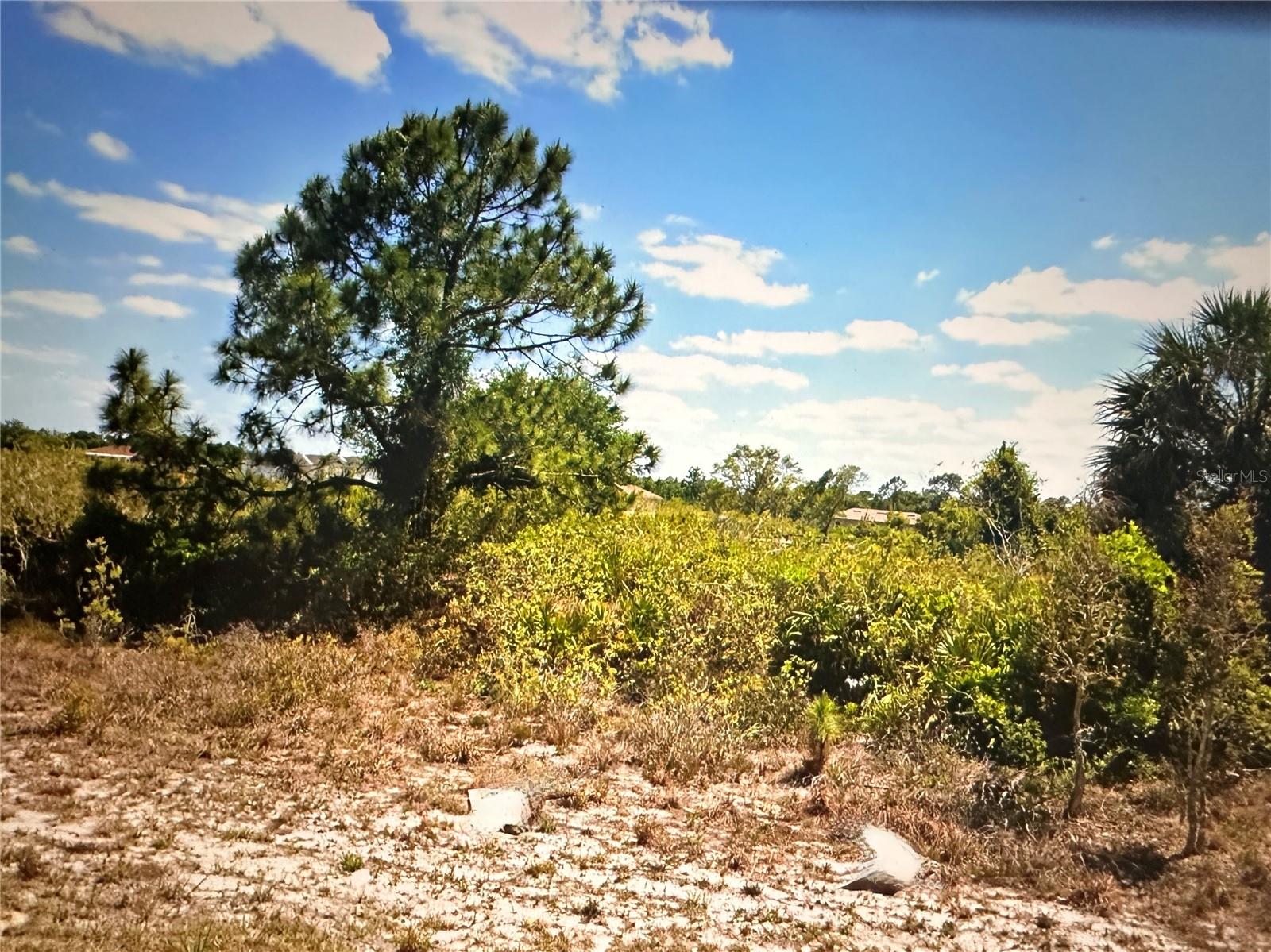 2817 56TH ST W, LEHIGH ACRES, FL — photo 6