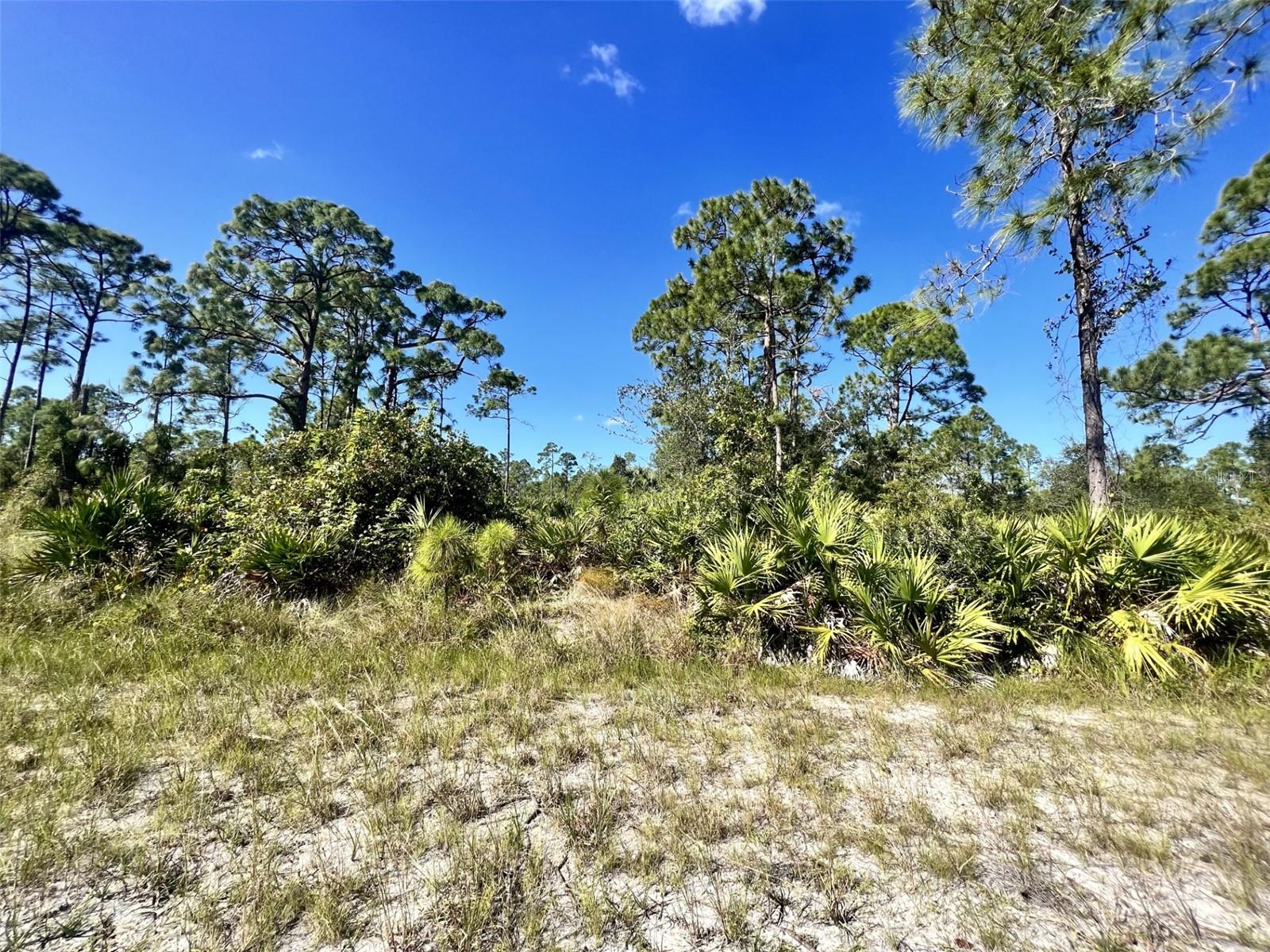 12247 CATRIDGE CIR, PUNTA GORDA, FL