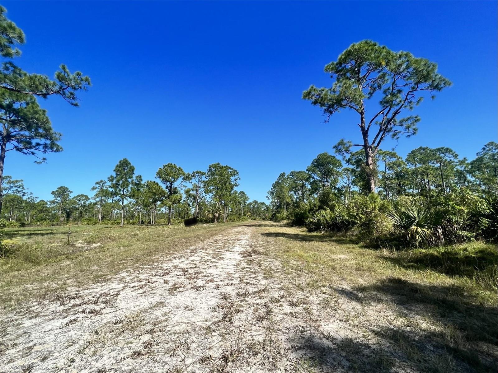 13238 CANNES DR, PUNTA GORDA, FL — photo 4