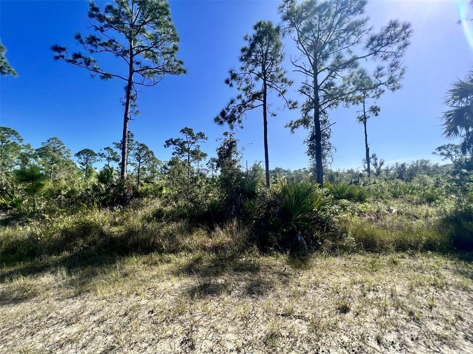 13238 CANNES DR, PUNTA GORDA, FL — photo 5