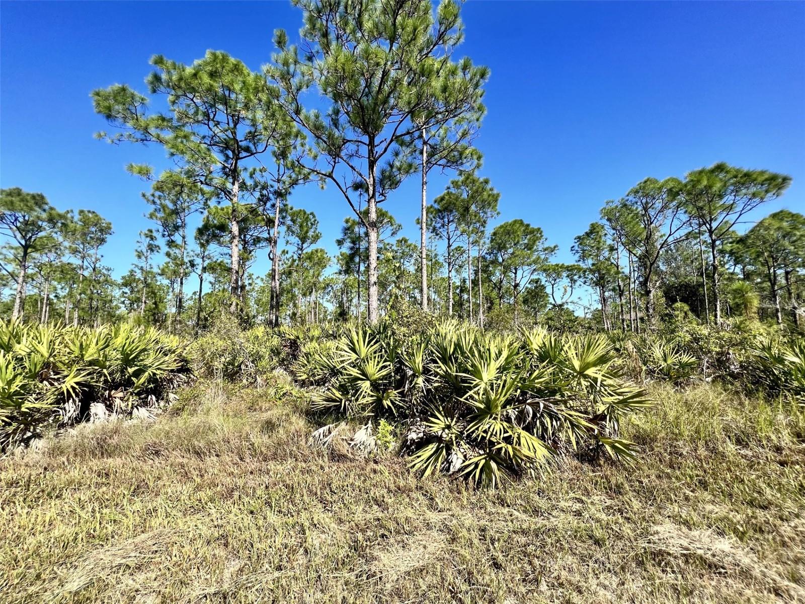 28060 ARGYLE DR, PUNTA GORDA, FL