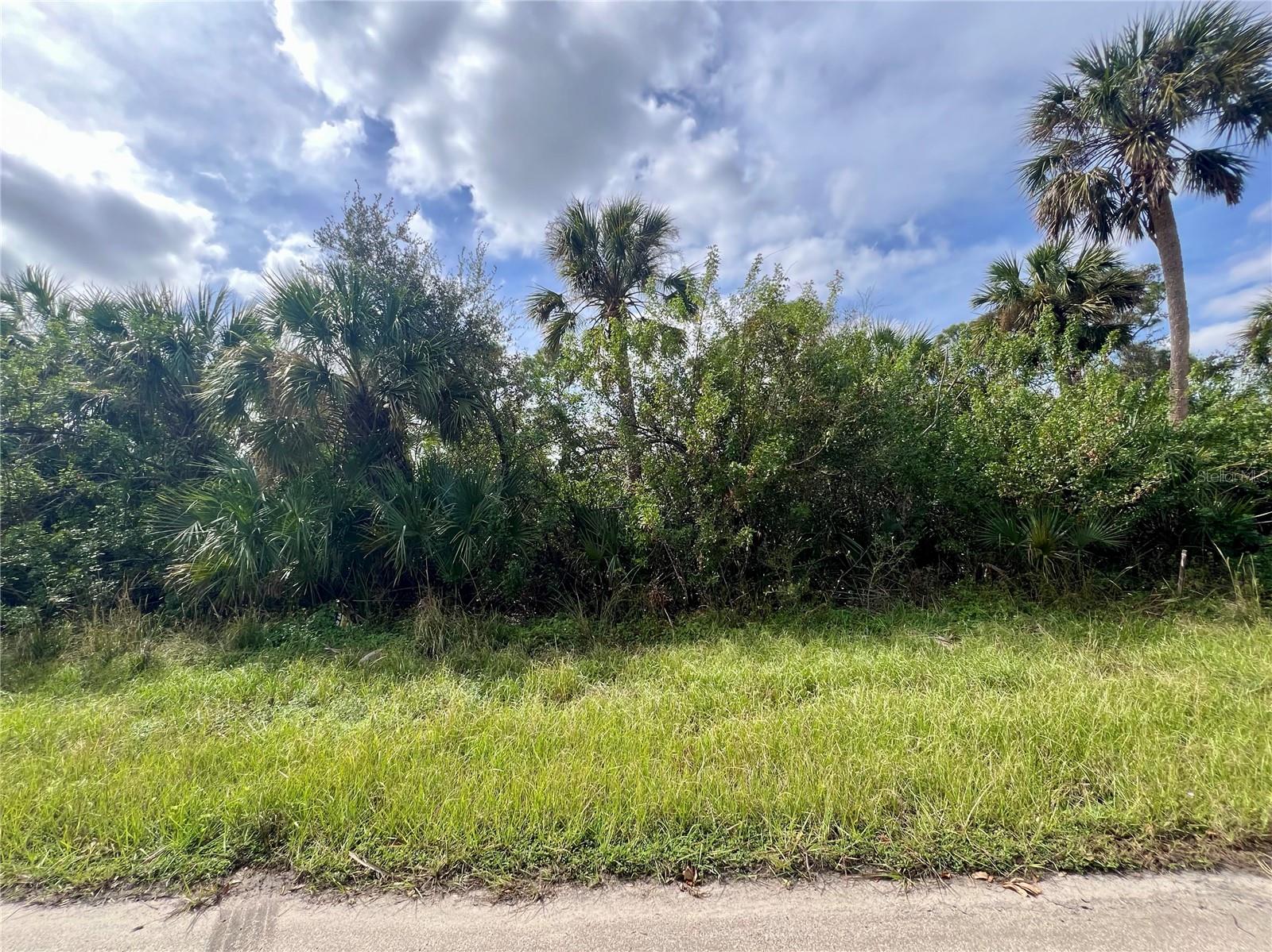355 RAMBLEWOOD ST, PORT CHARLOTTE, FL