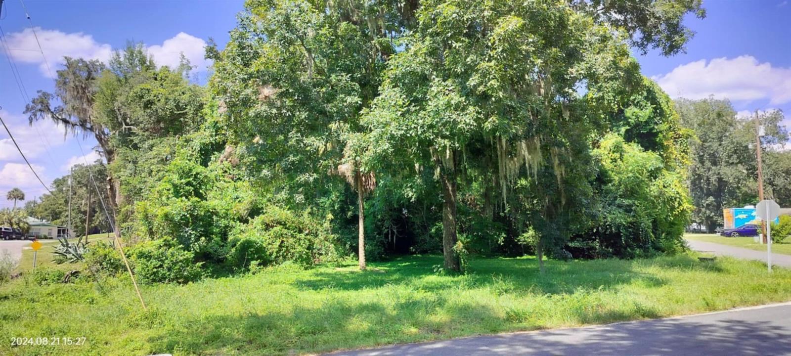 1980 S TSALA TER, INVERNESS, FL — photo 23