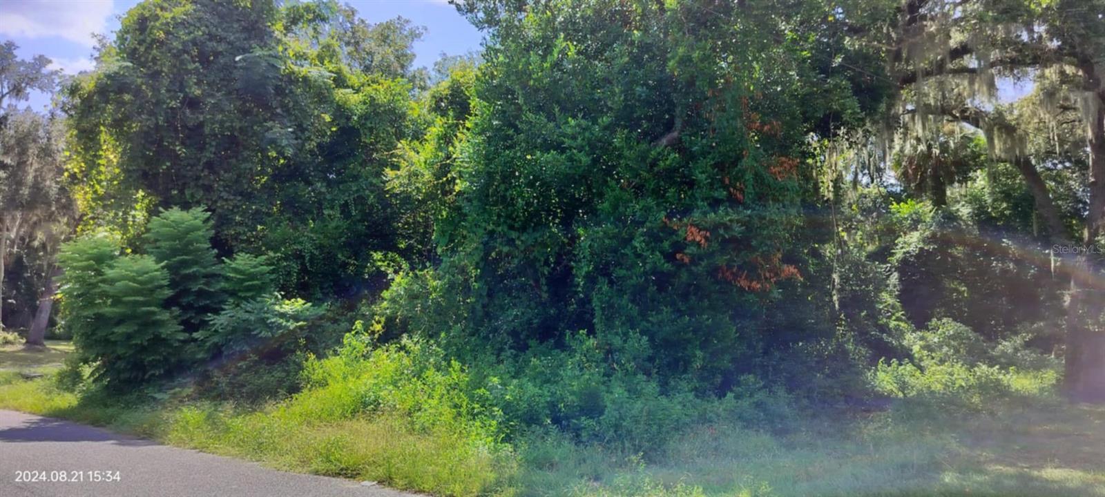 1980 S TSALA TER, INVERNESS, FL — photo 25