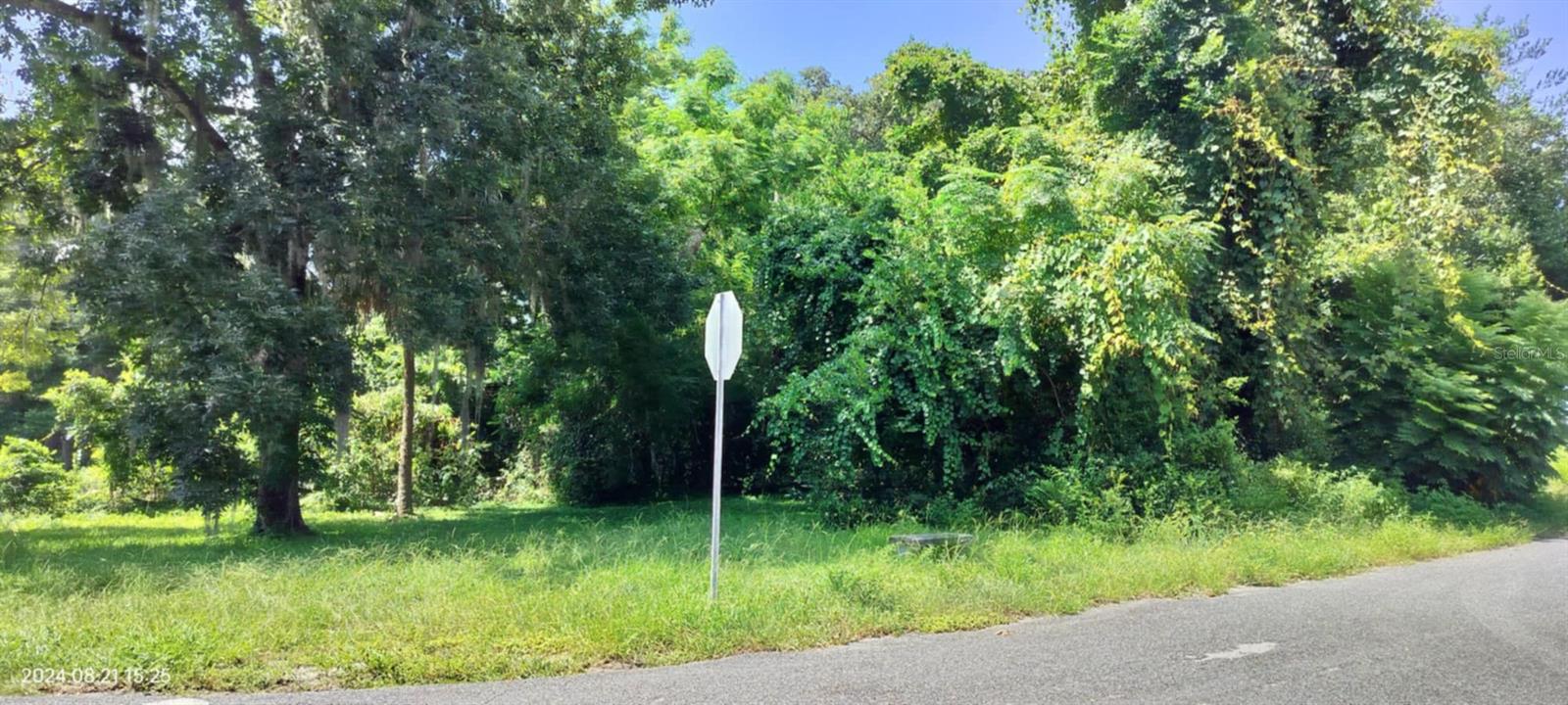 1980 S TSALA TER, INVERNESS, FL — photo 26