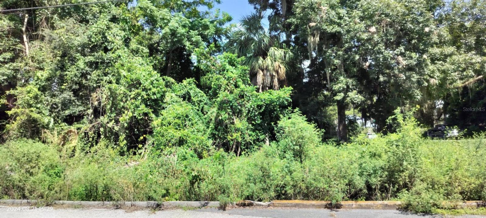 1980 S TSALA TER, INVERNESS, FL — photo 6