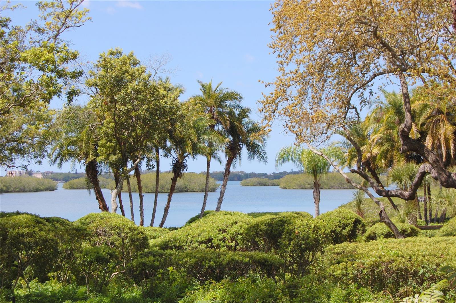 1601 PELICAN POINT DR #HA215, SARASOTA, FL — photo 31