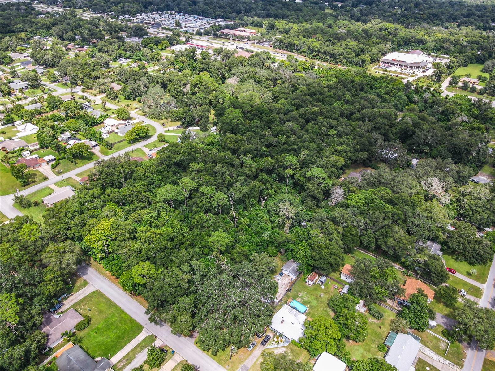 1351 N VOLUSIA AVE, ORANGE CITY, FL — photo 12
