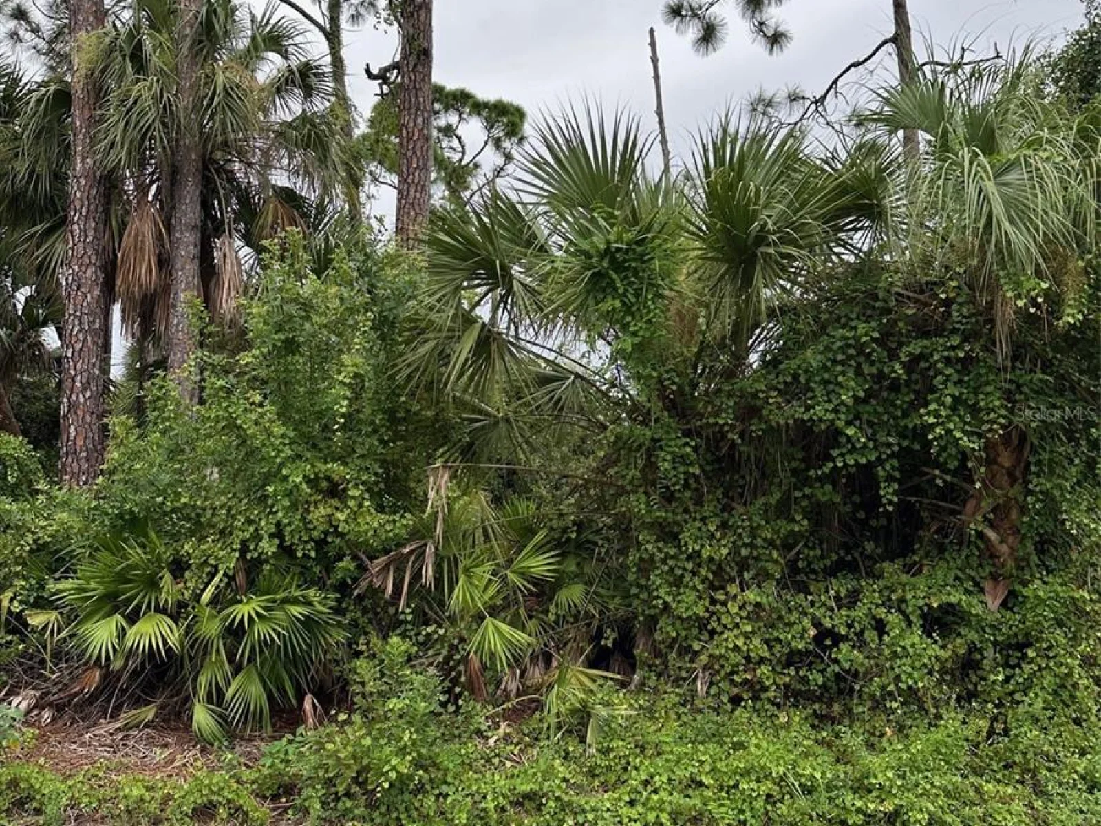 , PORT CHARLOTTE, FL — photo 2