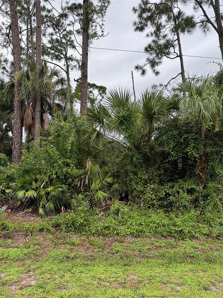 , PORT CHARLOTTE, FL