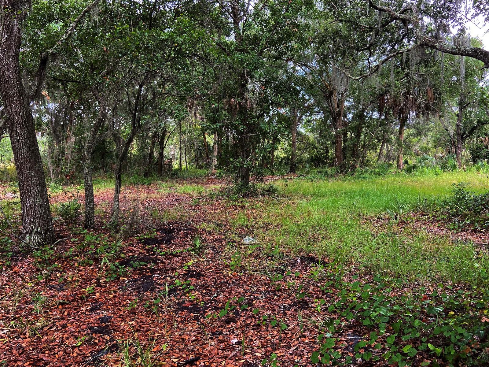 LIGHTFOOT RD, WIMAUMA, FL — photo 16