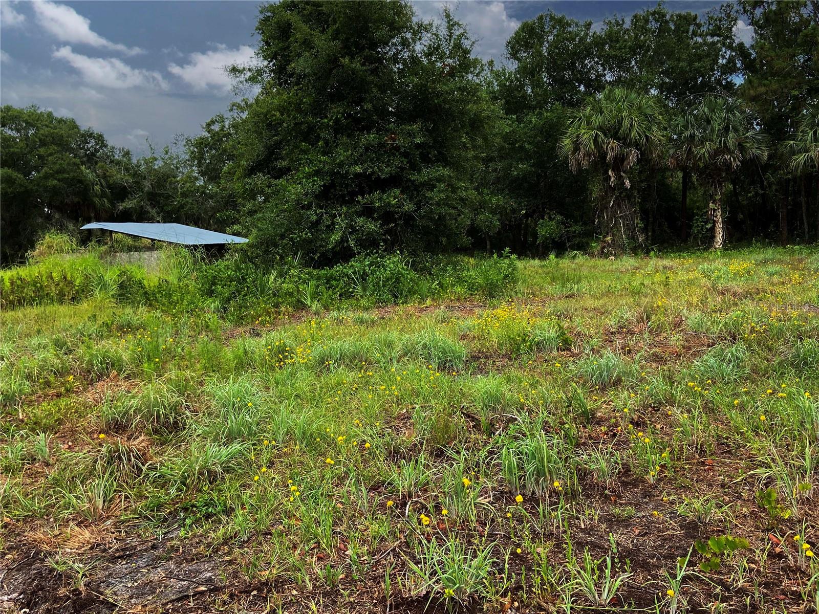 LIGHTFOOT RD, WIMAUMA, FL — photo 3