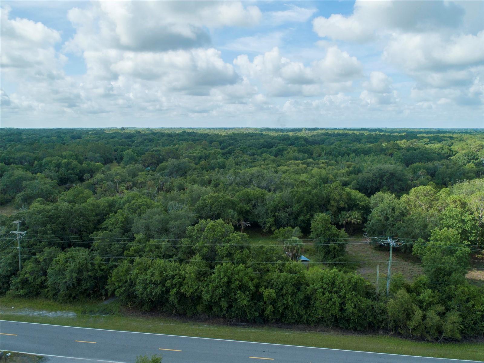 LIGHTFOOT RD, WIMAUMA, FL — photo 5