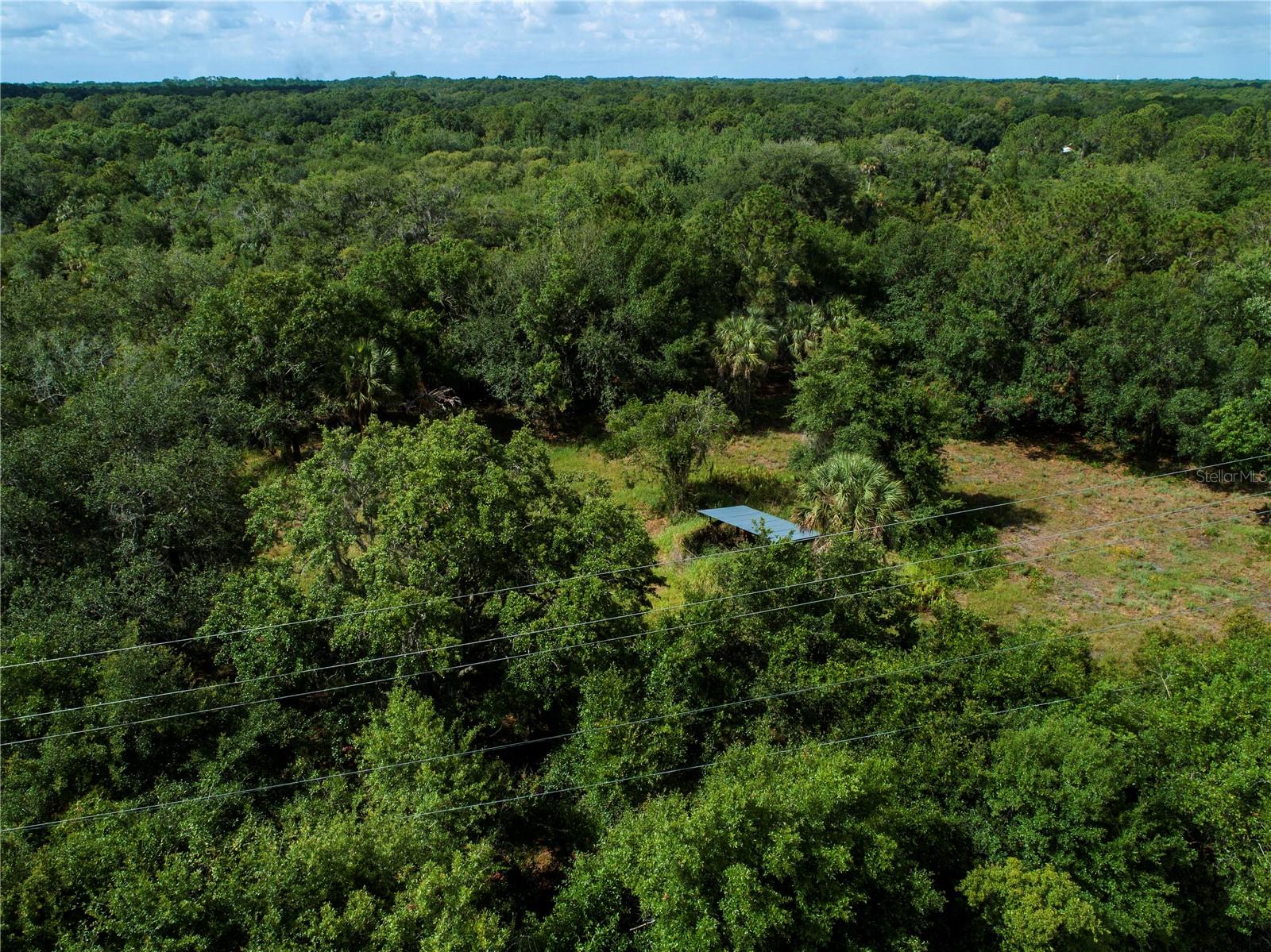LIGHTFOOT RD, WIMAUMA, FL — photo 8