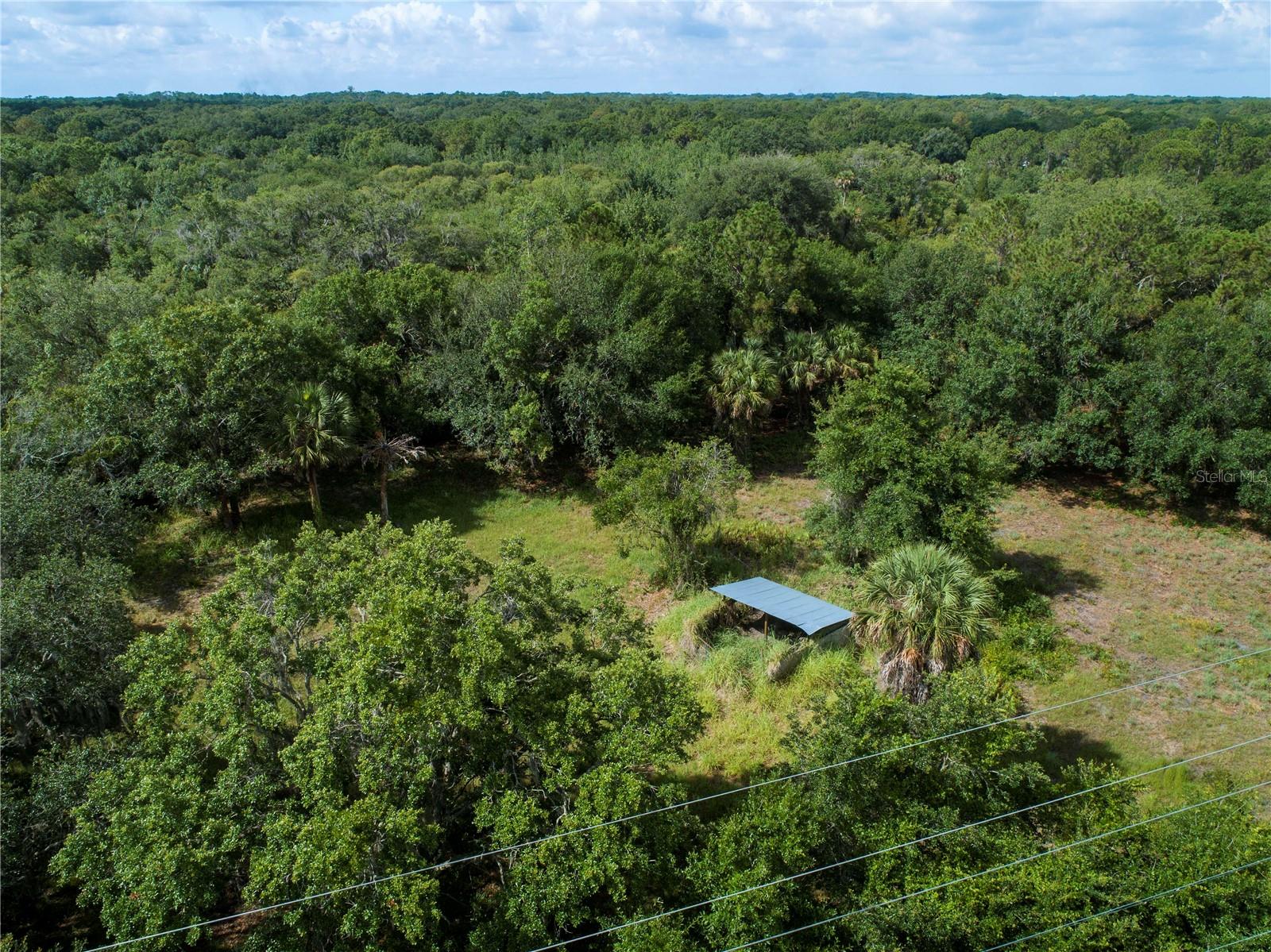 LIGHTFOOT RD, WIMAUMA, FL — photo 9