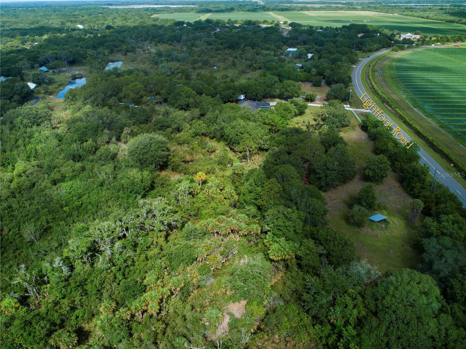 LIGHTFOOT RD, WIMAUMA, FL — photo 12
