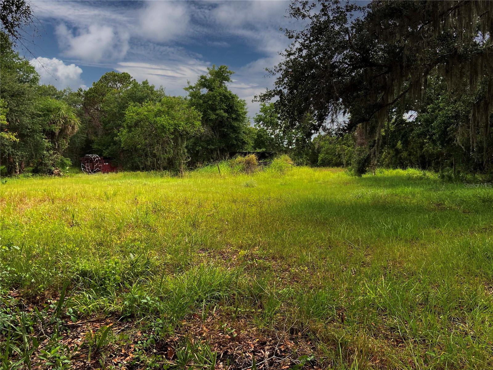 LIGHTFOOT RD, WIMAUMA, FL — photo 14