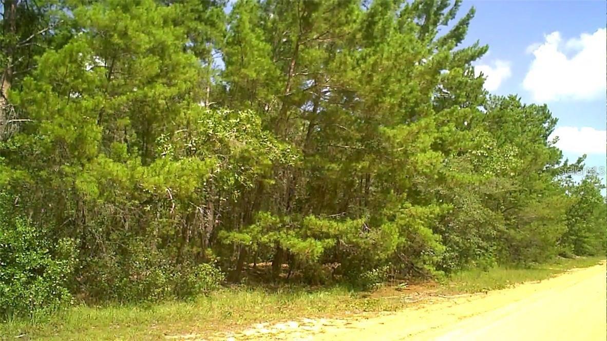 0 CHILDS RD, INTERLACHEN, FL