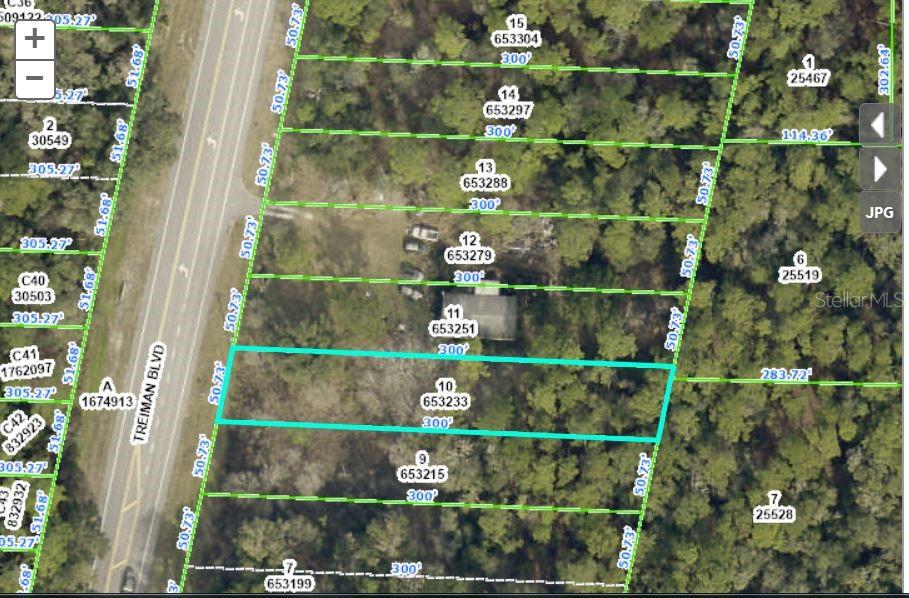 7338 TREIMAN BLVD, WEBSTER, FL