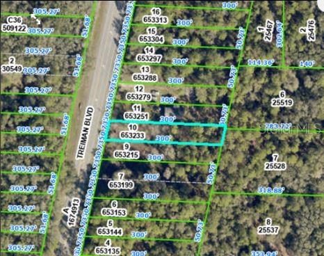 7338 TREIMAN BLVD, WEBSTER, FL — photo 3