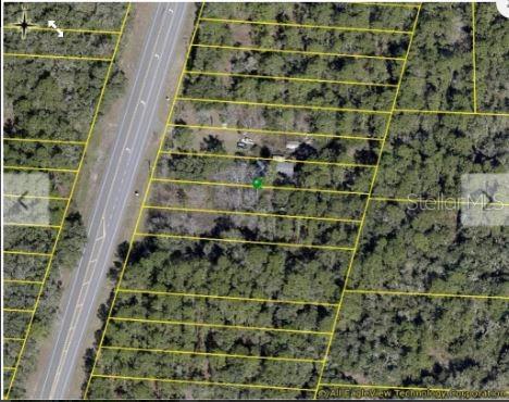7338 TREIMAN BLVD, WEBSTER, FL — photo 4