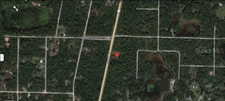 7338 TREIMAN BLVD, WEBSTER, FL — photo 6