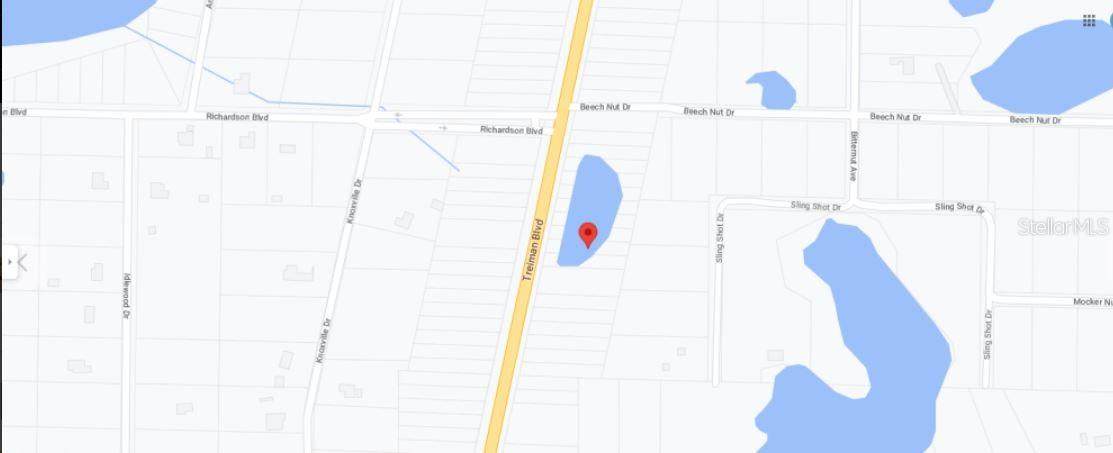 7338 TREIMAN BLVD, WEBSTER, FL — photo 7