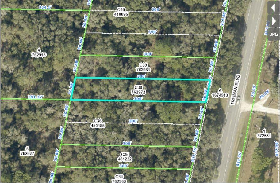 TREIMAN BLVD, WEBSTER, FL