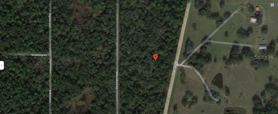 TREIMAN BLVD, WEBSTER, FL — photo 4