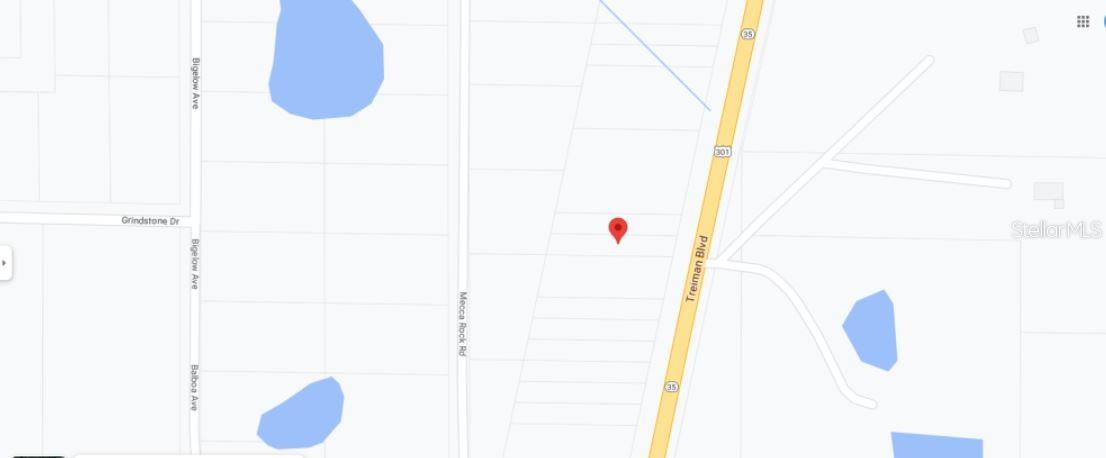 TREIMAN BLVD, WEBSTER, FL — photo 5
