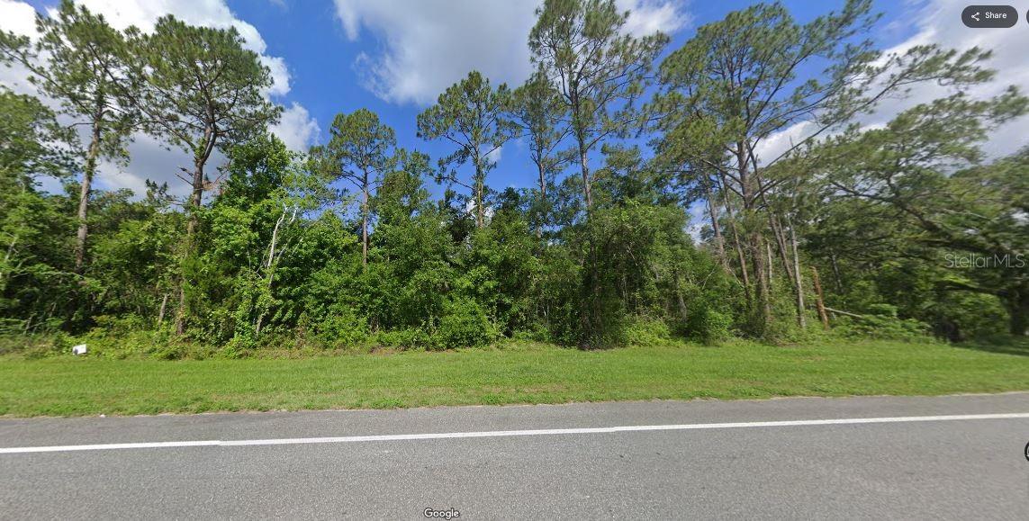 TREIMAN BLVD, WEBSTER, FL — photo 6