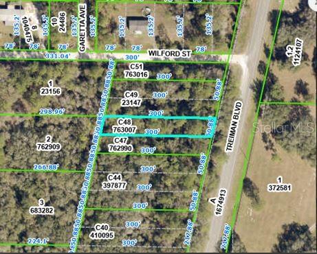 TREIMAN BLVD, WEBSTER, FL — photo 2