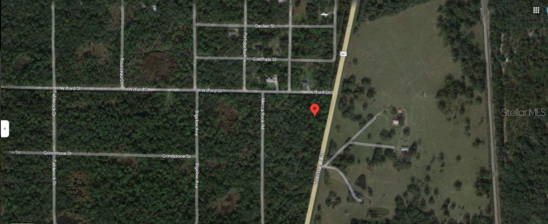 TREIMAN BLVD, WEBSTER, FL — photo 3