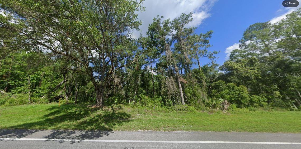 TREIMAN BLVD, WEBSTER, FL — photo 5