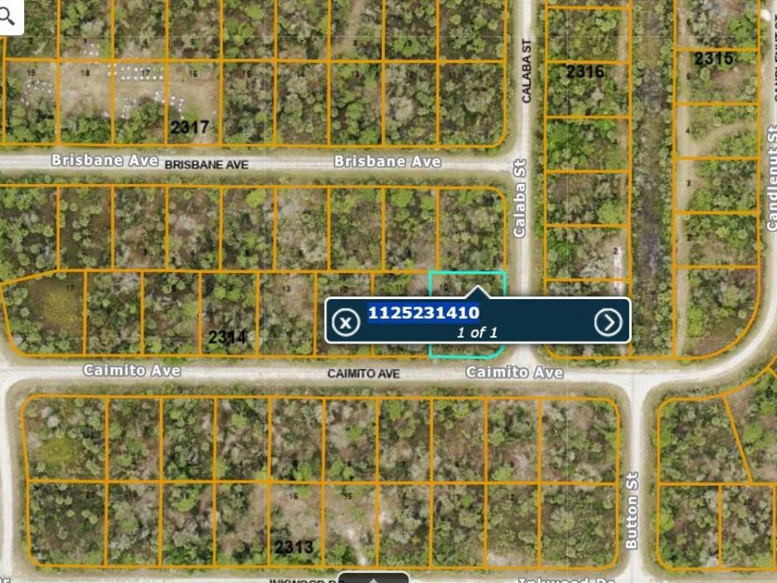 lot#10 CALABA ST, NORTH PORT, FL — photo 2