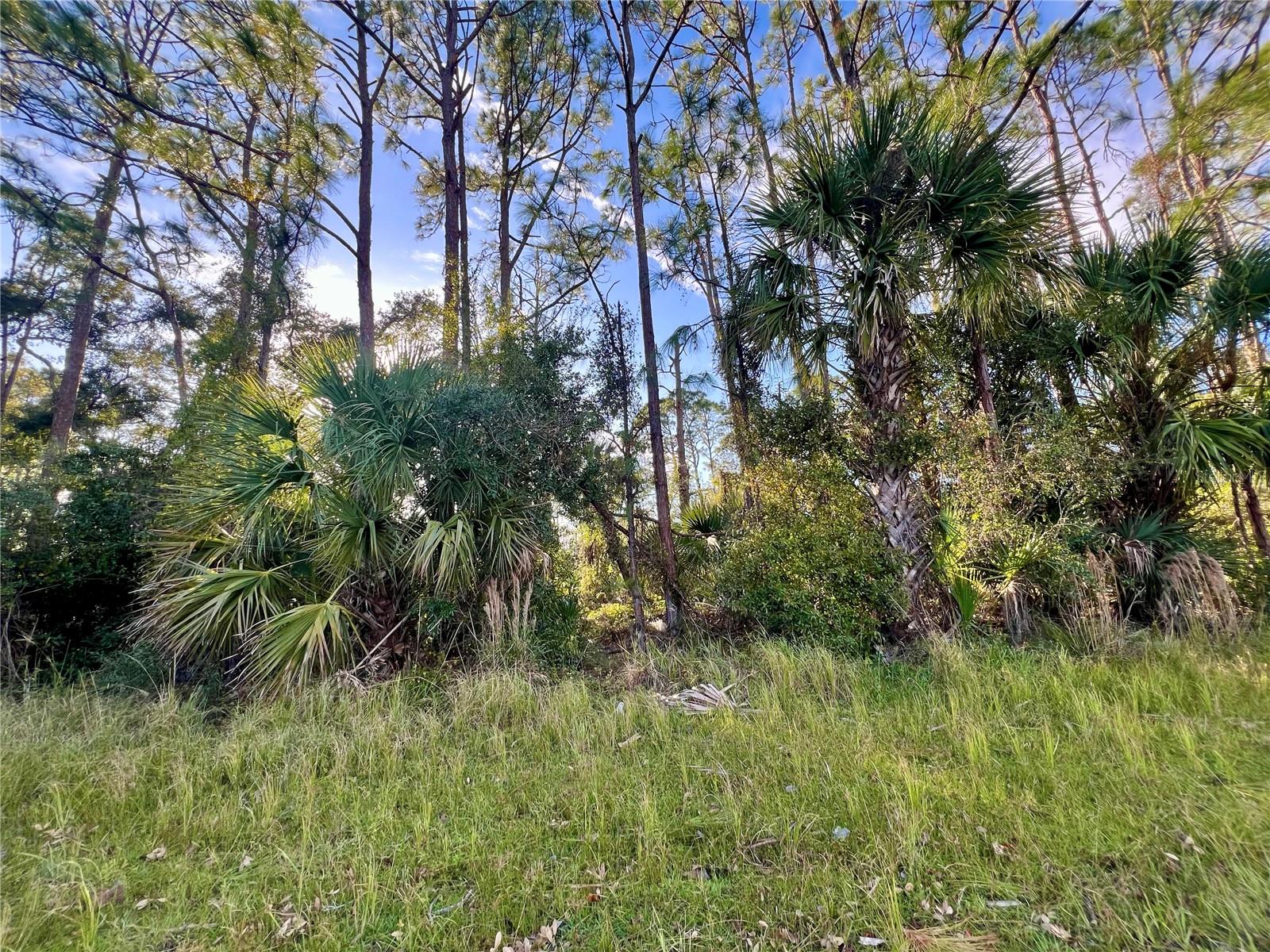 LUMMUS ST, NORTH PORT, FL