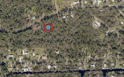 RIVER RD, ASTOR, FL — photo 4