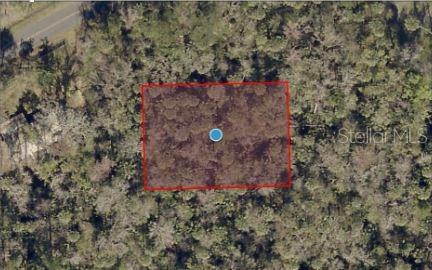 RIVER RD, ASTOR, FL — photo 5