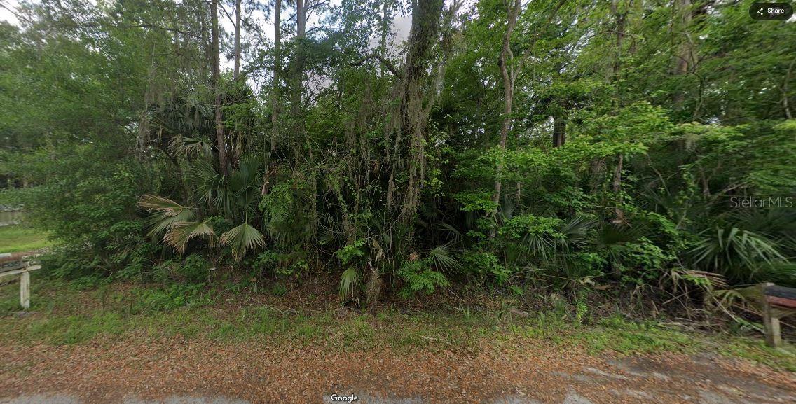RIVER RD, ASTOR, FL — photo 7