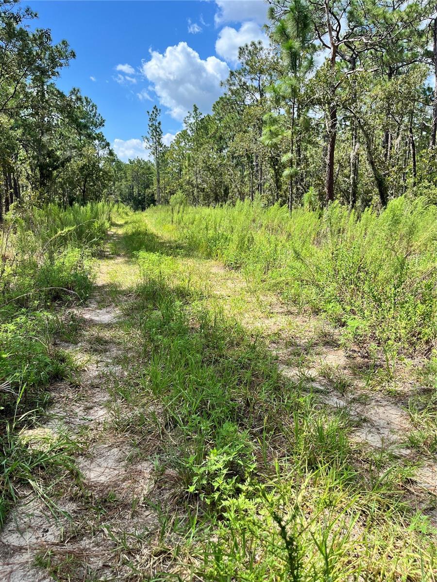 TBD SW 156TH CT, OCALA, FL — photo 6