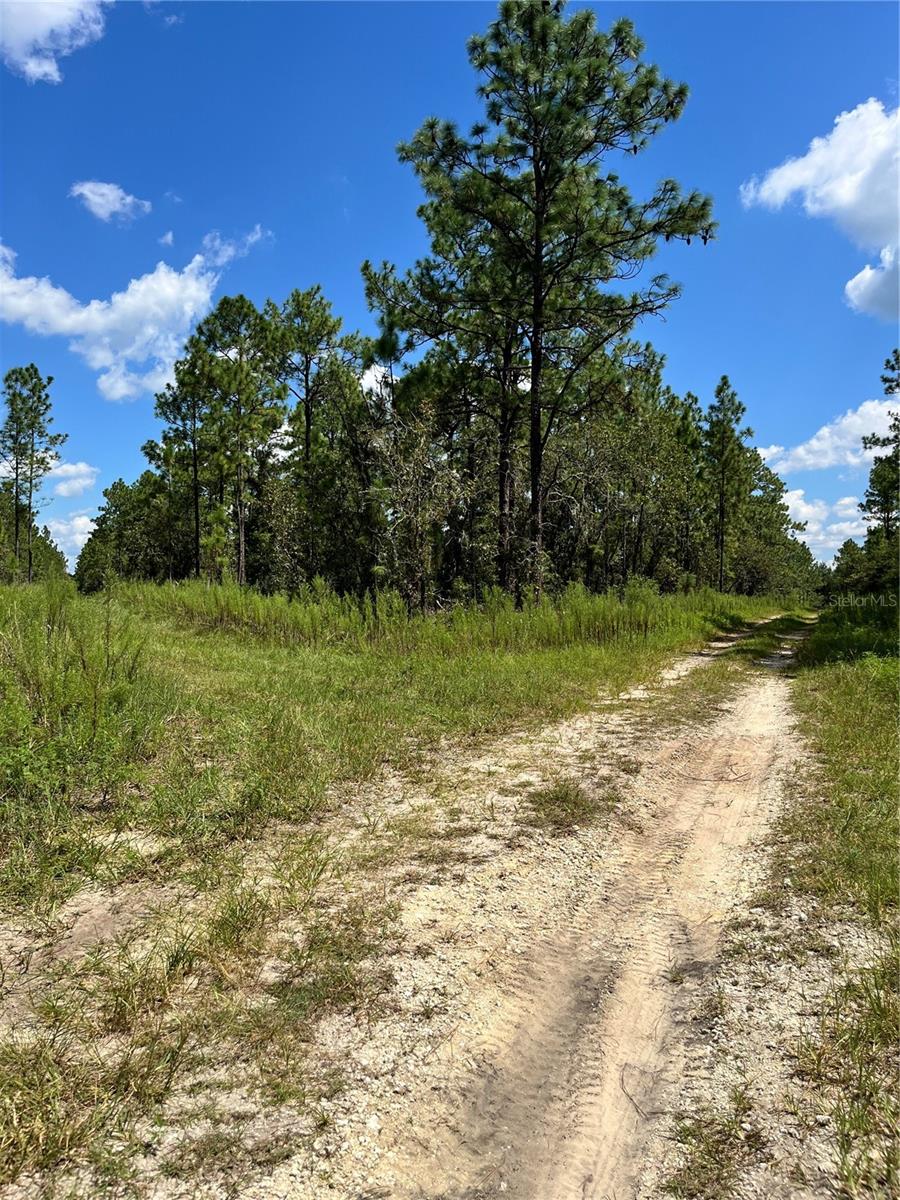 TBD SW 156TH CT, OCALA, FL — photo 9
