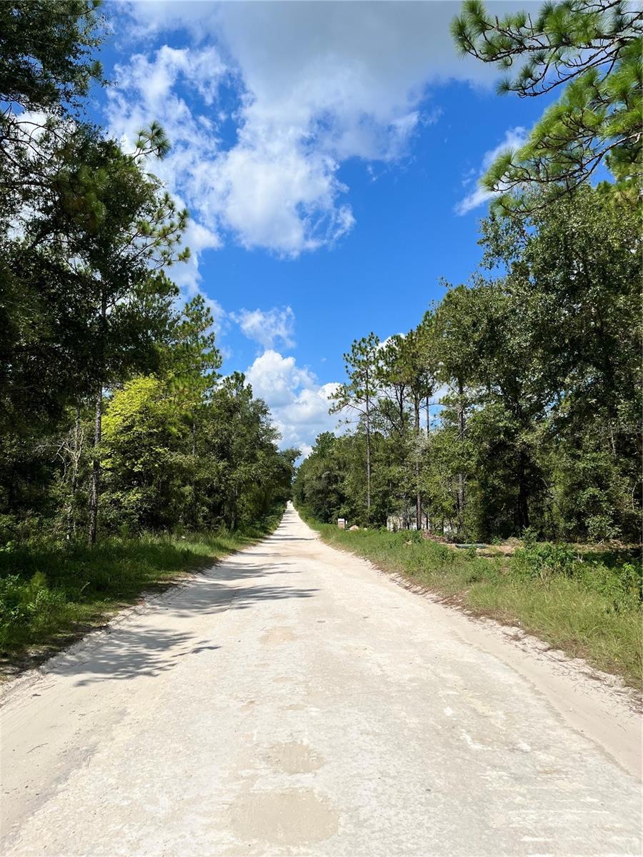 TBD SW 156TH CT, OCALA, FL — photo 10