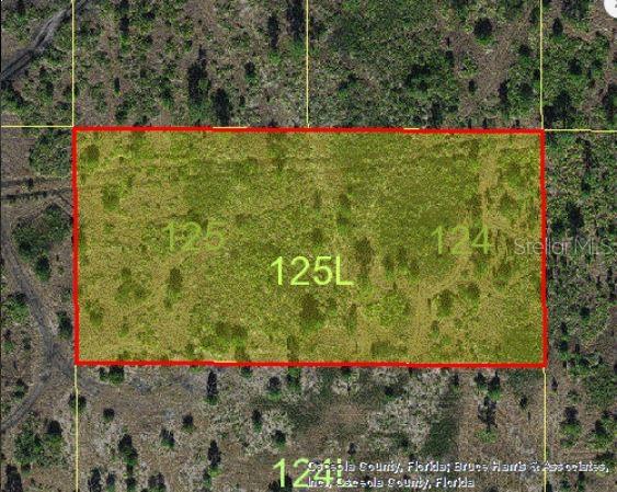 HOLOPAW GROVES RD, ST CLOUD, FL — photo 3