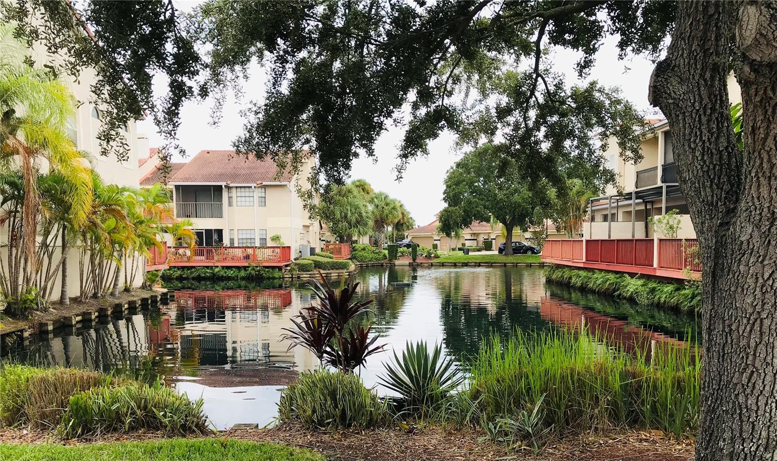 10425 LA MIRAGE CT #202, TAMPA, FL — photo 40