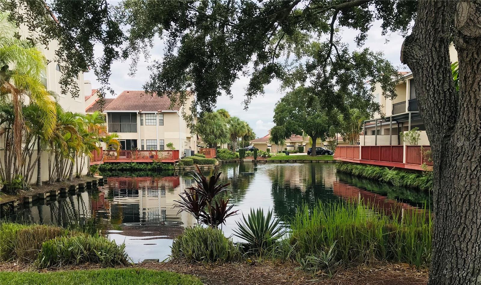 10425 LA MIRAGE CT #202, TAMPA, FL — photo 41